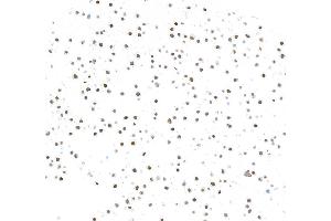 Immunocytochemistry (ICC) image for anti-Zinc Finger E-Box Binding Homeobox 1 (ZEB1) (AA 750-800) antibody (ABIN7455173) (Rekombinanter ZEB1 Antikörper  (AA 750-800))