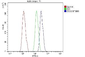Flow Cytometry analysis of A431 cells using anti-SOX3 antibody (ABIN7600935).