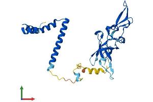Protein Structure (PS) image for NSA2 Ribosome Biogenesis Homolog (NSA2) (AA 1-260) protein (His tag) (ABIN7560610)