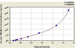 MAGEA3 ELISA Kit