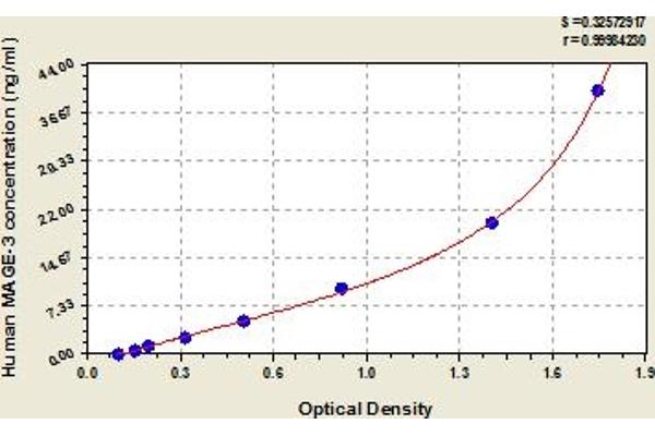 MAGEA3 ELISA Kit