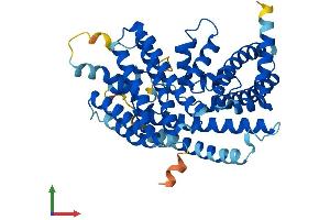 Protein Structure (PS) image for Membrane Bound O-Acyltransferase Domain Containing 4 (MBOAT4) (AA 1-435) protein (His tag) (ABIN7549322)