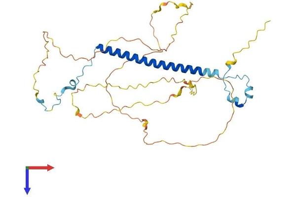 CCDC86 Protein (AA 1-360) (His tag)
