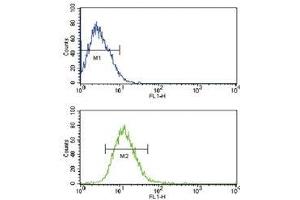 Flow cytometric analysis of CEM cells using TLR2 antibody (bottom histogram) compared to a negative control (top histogram). (TLR2 Antikörper  (AA 212-242))