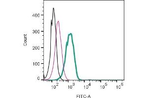 Cell surface detection of PAR1 by direct flow cytometry in live intact mouse BV2 microglia cell line:  + rabbit IgG isotype control-FITC (ABIN7582044).