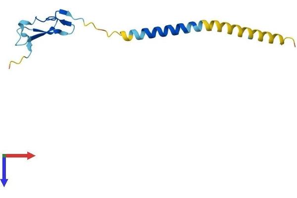 Neuregulin 4 Protein (NRG4) (AA 1-115) (His tag)