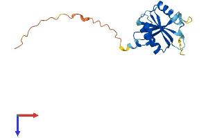 TSEN15 Protein (AA 1-168) (His tag)