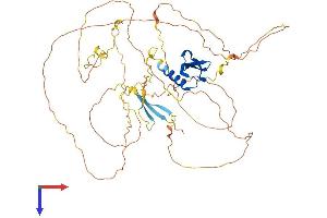 CBX4 Protein (AA 1-560) (His tag)