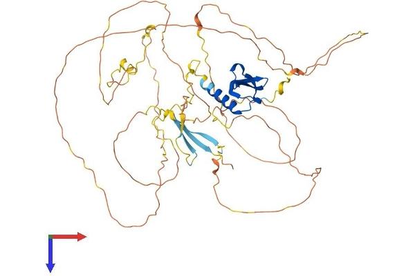 CBX4 Protein (AA 1-560) (His tag)