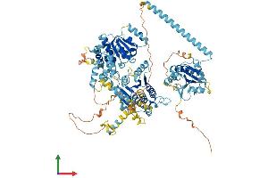 Protein Structure (PS) image for Chromodomain Helicase DNA Binding Protein 1-Like (CHD1L) (AA 1-900) protein (His tag) (ABIN7564959)