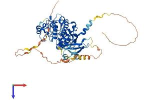 STK32C Protein (AA 1-488) (His tag)