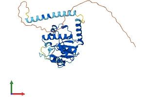 AlphaFold protein structure predicition of Human Recombinant TRMT10B Protein, UniprotID Q6PF06