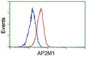 Flow cytometric Analysis of Jurkat cells, using anti-AP2M1 antibody (ABIN2454661), (Red), compared to a nonspecific negative control antibody, (Blue). (AP2M1 Antikörper  (AA 97-383))
