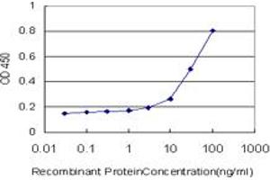 Detection limit for recombinant GST tagged TAZ is approximately 10ng/ml as a capture antibody.