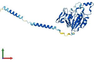 Protein Structure (PS) image for beta-1,3-Glucuronyltransferase 3 (Glucuronosyltransferase I) (B3GAT3) (AA 1-335) protein (His tag) (ABIN7552504)
