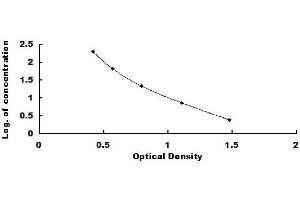 Typical standard curve