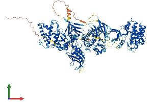 Protein Structure (PS) image for Janus Kinase 1 (JAK1) (AA 1-1154) protein (His tag) (ABIN7554205)