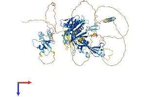 USP16 Protein (AA 1-823) (His tag)