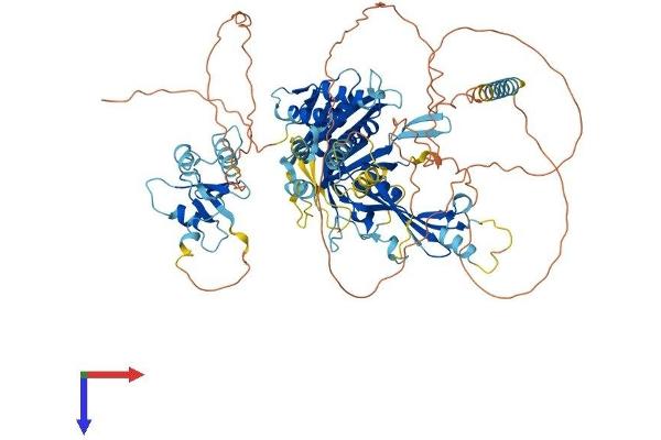 USP16 Protein (AA 1-823) (His tag)