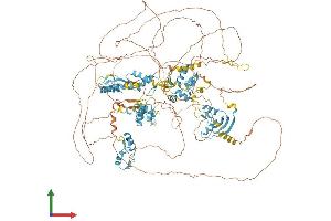 AlphaFold protein structure predicition of Human Recombinant ZNF532 Protein, UniprotID Q9HCE3 (ZNF532 Protein (AA 1-1301) (His tag))
