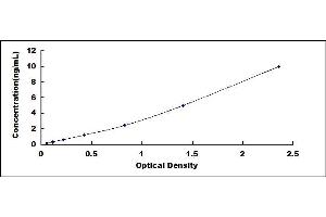 Typical standard curve (PANK4 ELISA Kit)