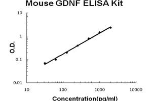 Mouse GDNF Accusignal ELISA Kit Mouse GDNF AccuSignal ELISA Kit standard curve. (GDNF ELISA Kit)