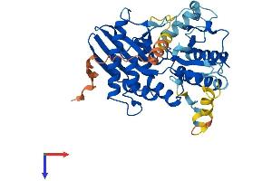 PIP5KL1 Protein (AA 1-394) (His tag)