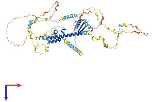 REC8 Protein (AA 1-591) (His tag)