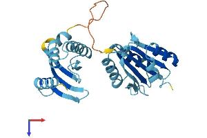 RWDD3 Protein (AA 1-267) (His tag)