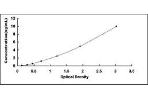 FCN1 ELISA Kit