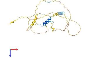 ERMN Protein (AA 1-281) (His tag)