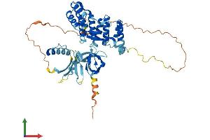 Protein Structure (PS) image for NADPH Oxidase Activator 1 (NOXA1) (AA 1-444) protein (His tag) (ABIN7559385)