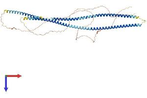 KRT6A Protein (AA 1-553) (His tag)