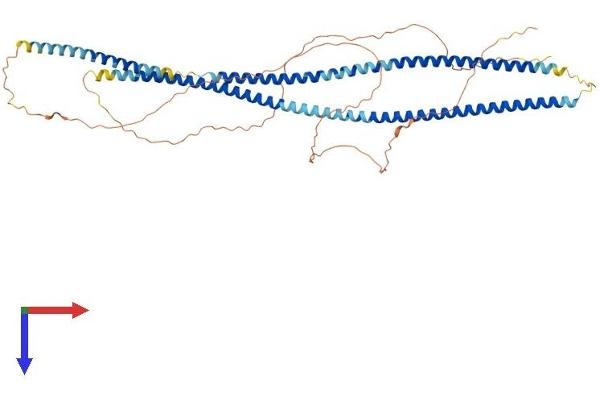 KRT6A Protein (AA 1-553) (His tag)