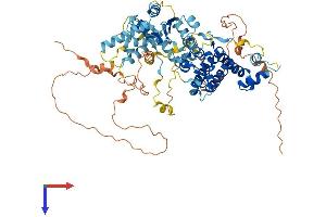 RAD17 Protein (RAD17) (AA 1-688) (His tag)