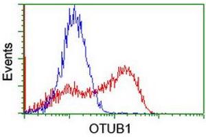 Image no. 1 for anti-OTU Domain, Ubiquitin Aldehyde Binding 1 (OTUB1) antibody (ABIN1499931) (OTUB1 Antikörper)