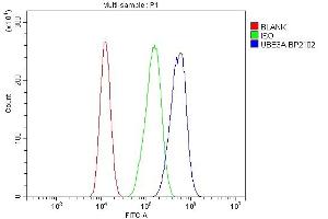 Flow Cytometry analysis of CACO-2 cells using anti-UBE3A antibody (ABIN7599562). (ube3a Antikörper  (AA 1-860))