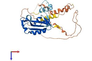 ISG20 Protein (AA 1-300) (His tag)