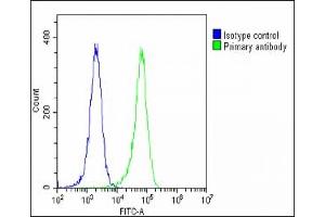 Overlay histogram showing Hela cells stained with C(green line). (Gc (AA 337-365), (Center) Antikörper)