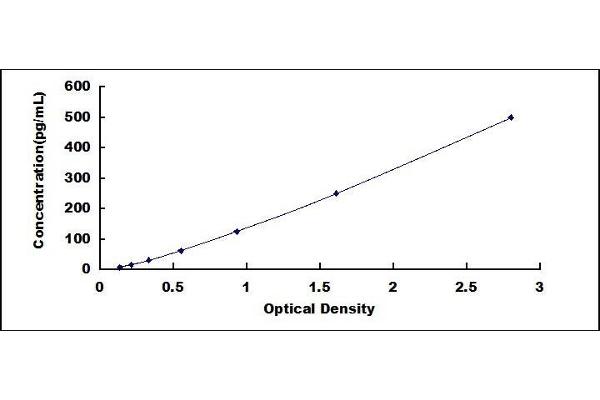 CTGF ELISA Kit