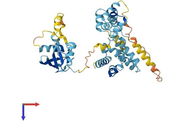 UBAC1 Protein (AA 1-405) (His tag)