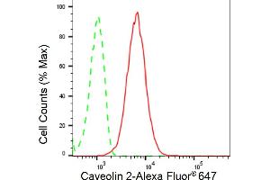 Flow cytometric analysis of Caveolin 2 expression in HepG2 cells using Caveolin 2 antibody (ABIN7797946), 1:2,000).