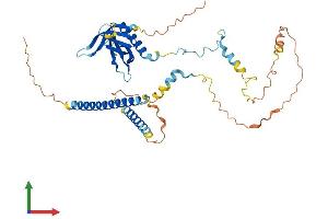 AlphaFold protein structure predicition of Human Recombinant PLEKHO1 Protein, UniprotID Q53GL0