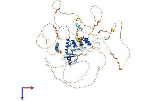 PPP1R13L Protein (AA 1-828) (His tag)