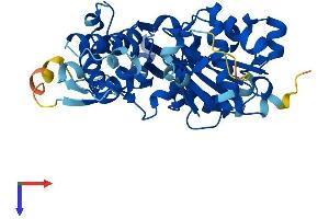 ACTRT1 Protein (AA 1-376) (His tag)