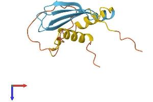 AlphaFold protein structure predicition of Human Recombinant PMS2P5 Protein, UniprotID A8MQ11