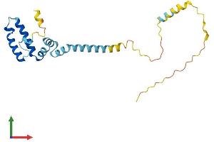 Protein Structure (PS) image for DnaJ (Hsp40) Homolog, Subfamily C, Member 5 (DNAJC5) (AA 1-198) protein (His tag) (ABIN7547172)