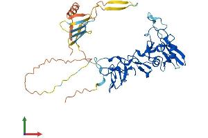 Protein Structure (PS) image for A Disintegrin and Metallopeptidase Domain 5 (ADAM5) (AA 1-412) protein (His tag) (ABIN7551904)