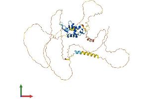 AlphaFold protein structure predicition of Mouse Recombinant Foxa1 Protein, UniprotID P35582