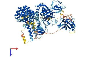 AlphaFold protein structure predicition of Human Recombinant VAV2 Protein, UniprotID P52735